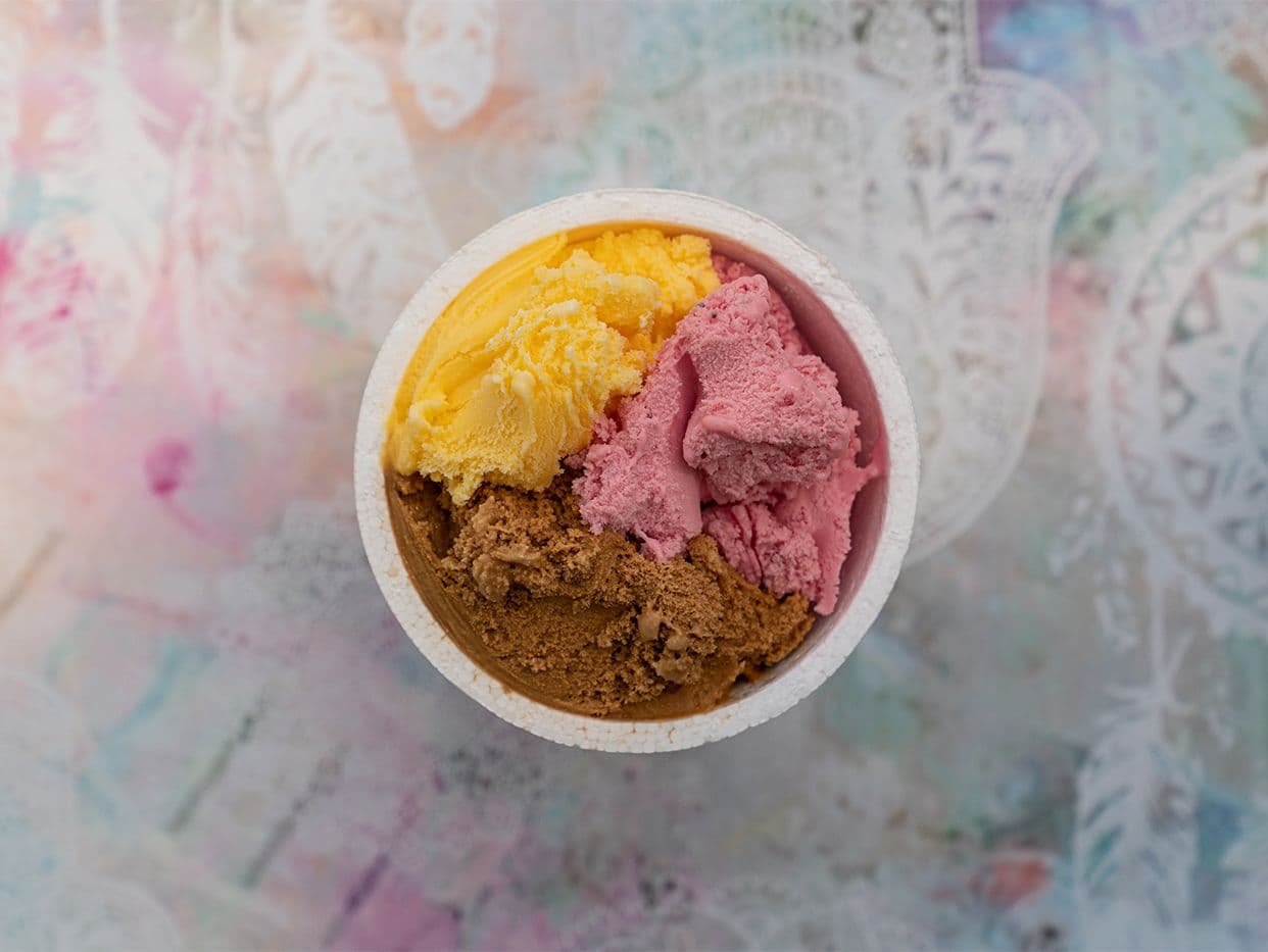 Portada de Helados Veggam