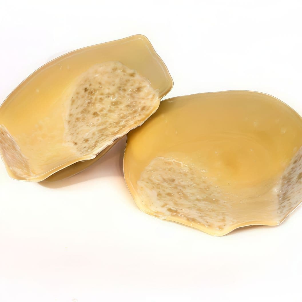 Quibeluma
